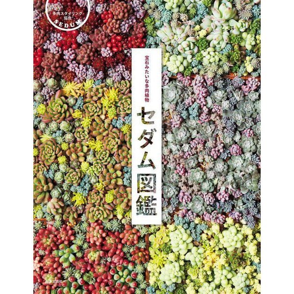 セダム図鑑―宝石みたいな多肉植物 [単行本]Ω