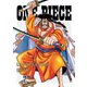 ONE PIECE Log Collection ODEN [DVD]
