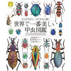 世界で一番美しい甲虫図鑑―きらびやかに、つややかに輝く(ネイチャー・ミュージアム) [単行本]