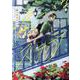 嘘つきなステラ(gateauコミックス) [コミック]
