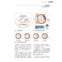(裁断済み)眼科プラクティス8 ぶどう膜炎の心得 安い ぶどう膜炎の心得 | 株式会社文光堂 健康・医学 - 健康・医学
