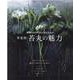 植物のあるがままの姿を生かす 草花屋・苔丸の魅力（ブティック・ムック） [ムックその他]