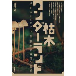 枯木ワンダーランド―枯死木がつなぐ虫・菌・動物と森林生態系 [単行本]