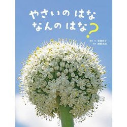 やさいのはななんのはな?(かがくすっ) [絵本]