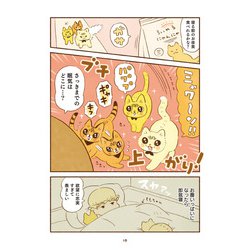 ヨドバシ.com - しまねこ3姉妹と暮らしています [単行本] 通販【全品