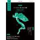 POSSE vol.53 [単行本]