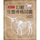 美しい幻獣生態骨格図鑑 [単行本]