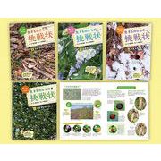 みーつけた！生きものからの挑戦状（全4巻セット） [全集叢書]