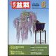 近代盆栽 2023年 06月号 [雑誌]