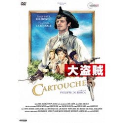 大盗賊 [DVD]