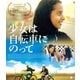 少女は自転車にのって [Blu-ray Disc]
