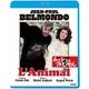 ムッシュとマドモアゼル [Blu-ray Disc]