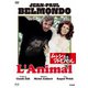 ムッシュとマドモアゼル [DVD]
