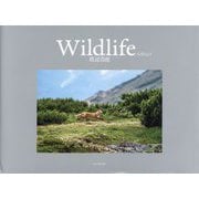 Wildlife 大雪山より [単行本]
