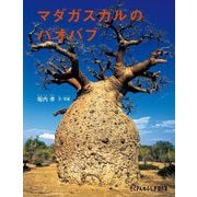 マダガスカルのバオバブ(たくさんのふしぎ傑作集) [絵本]
