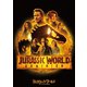 ジュラシック・ワールド/新たなる支配者 [DVD]
