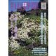 趣味の山野草 2023年 06月号 [雑誌]