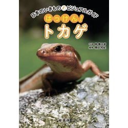 はっけん!トカゲ(日本のいきものビジュアルガイド) [図鑑]