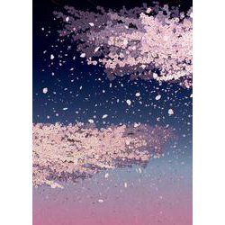 開運御朱印帳　夜桜（大判） [単行本]