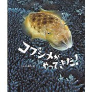 コブシメがやってきた！ [絵本]