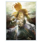 劇場版 Fate/Grand Order -神聖円卓領域キャメロット- Blu-ray Disc Box Standard Edition
