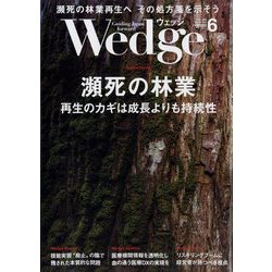 Wedge(ウエッジ) 2023年 06月号 [雑誌]