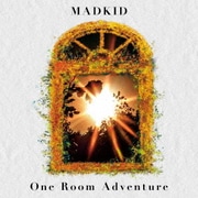 One Room Adventure