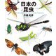 日本の昆虫―THE MUSEUM OF JAPANESE INSECTS [図鑑]