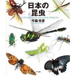 日本の昆虫―THE MUSEUM OF JAPANESE INSECTS [図鑑]