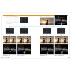 カラーグレーディング・トレーニングBasic : カラーグレーディング・トレーニングBasic : 鈴木 佑介: 本