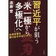 習近平が狙う「米一極から多極化へ」―台湾有事を創り出すのはCIAだ! [単行本]