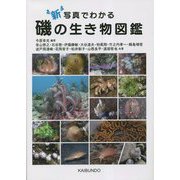 新写真でわかる磯の生き物図鑑 [単行本]