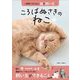 ころばぬさきのねこ―病気にならない猫の飼い方 [単行本]
