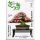 さつき研究 2023年 07月号 [雑誌]