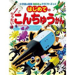 はじめてのりったいこんちゅうかん(NEOのクラフトぶっく) [単行本]