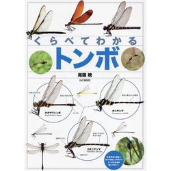 くらべてわかるトンボ―識別ポイントで見分ける [単行本]