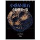 小惑星・隕石46億年の石―ビジュアル探検図鑑 [図鑑]