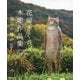 花房さくら木彫作品集 2014～2023―毎日が猫の日 [単行本]