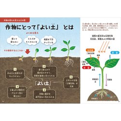 土の教え 日本編 (「土」を知れば、「食」がもっと面白くなる