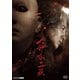 犬神家の一族 [DVD]