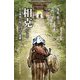 相克―ある禅僧と母との心の葛藤 [単行本]
