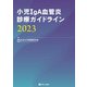 小児IgA血管炎診療ガイドライン〈2023〉 [単行本]