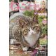 ねことも 2023年 08月号 [雑誌]
