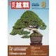近代盆栽 2023年 08月号 [雑誌]