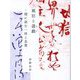 風狂と遊戯―閑に読む一休と良寛 [単行本]
