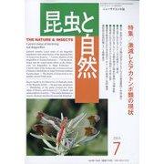 昆虫と自然 2023年 07月号 [雑誌]