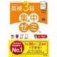DAILY2週間 英検3級 集中ゼミ 6訂版 [単行本]
