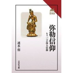 弥勒信仰―もう一つの浄土信仰(読みなおす日本史) [全集叢書]