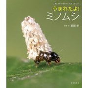 うまれたよ!ミノムシ(よみきかせいきものしゃしんえほん) [絵本]