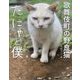 歌舞伎町の野良猫『たにゃ』と僕 [単行本]